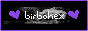 birbohex's Website