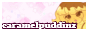 Caramelpuddinz's Website